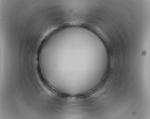 X0000090780634200708172129