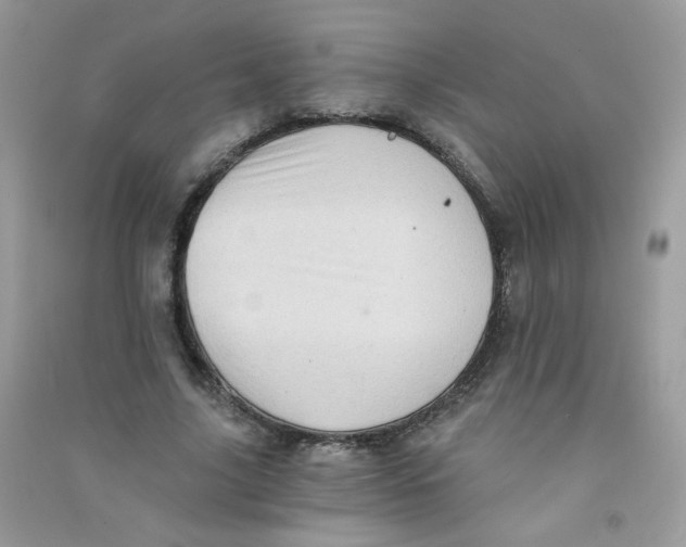 X0000090780635200708172129