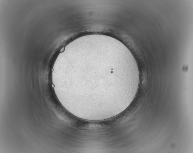 X0000090780636200708172129