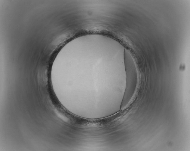 X0000090780638200708172129