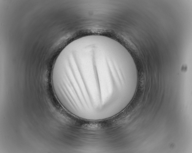 X0000090780639200708172129