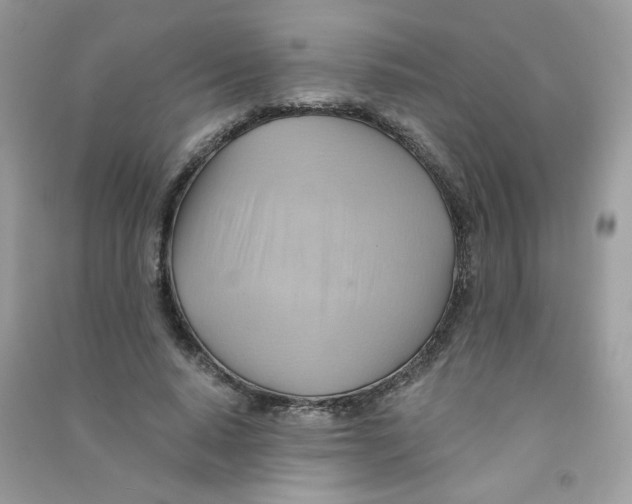 X0000090780640200708172129