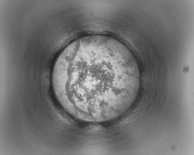 X0000090780642200708172129