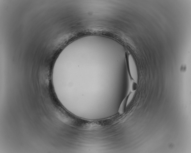 X0000090780644200708172129
