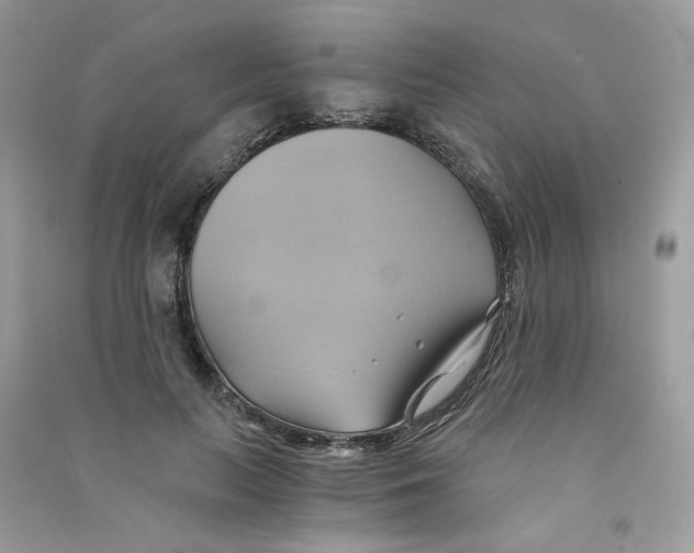 X0000090780647200708172129