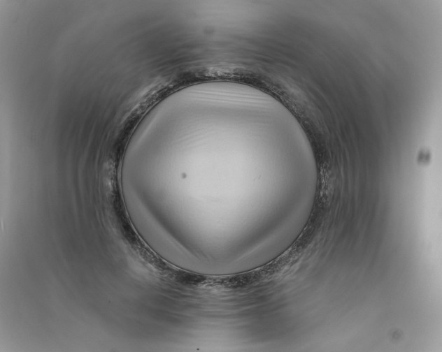 X0000090780648200708172129