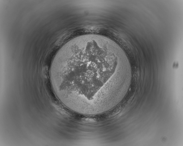 X0000090780649200708172129