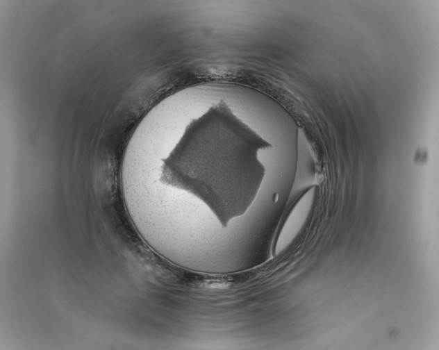 X0000090780651200708172129