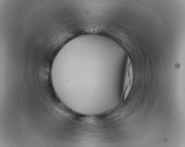 X0000090780652200708172129