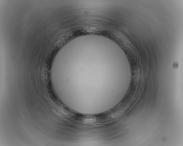 X0000090780653200708172129