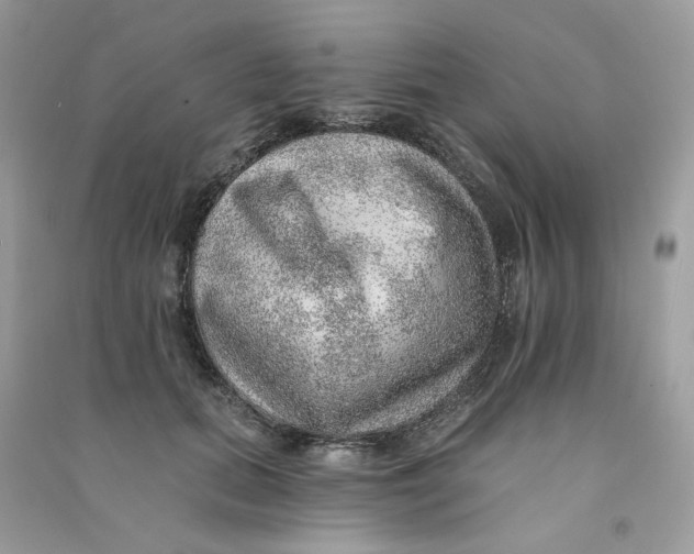 X0000090780655200708172129