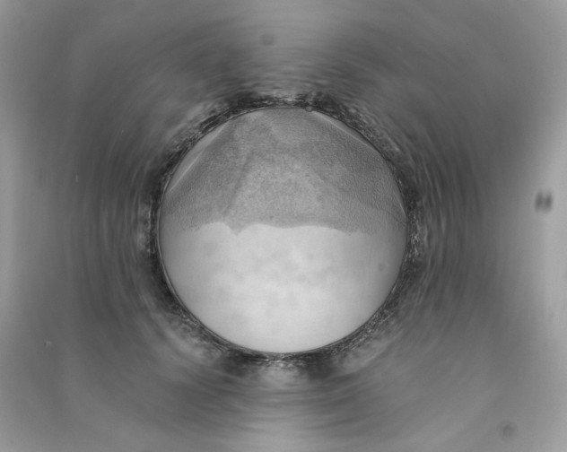 X0000090780656200708172129