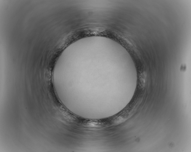 X0000090780657200708172129