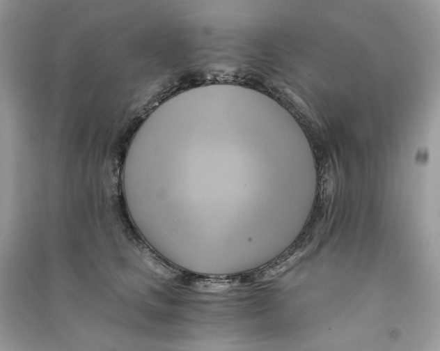 X0000090780661200708172129