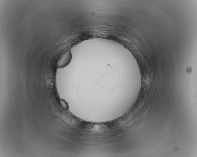 X0000090780663200708172129