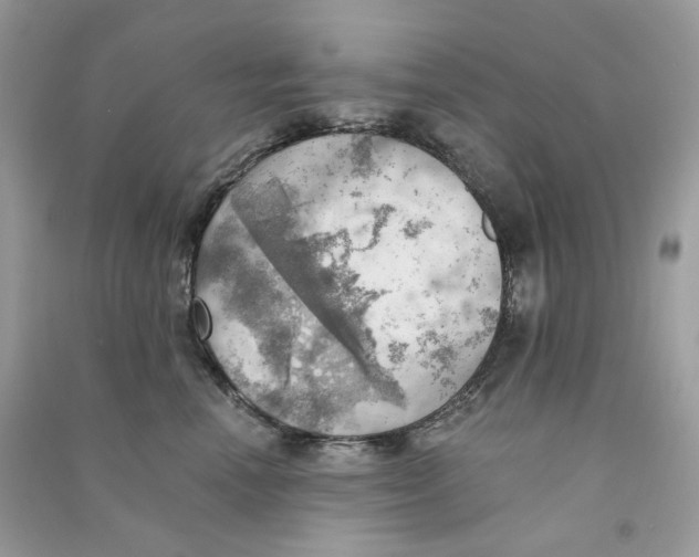 X0000090780666200708172129
