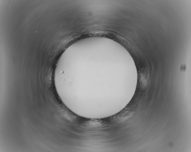 X0000090780668200708172129