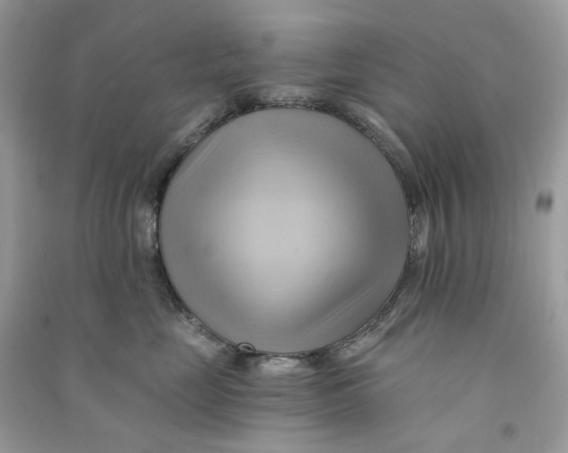 X0000090780669200708172129