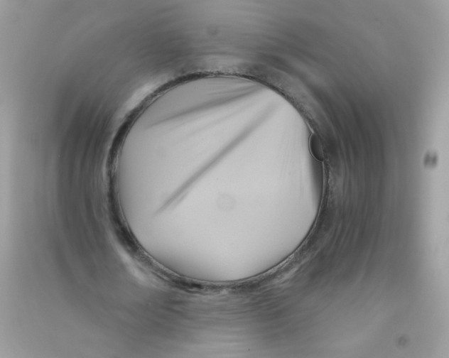 X0000090780674200708172128