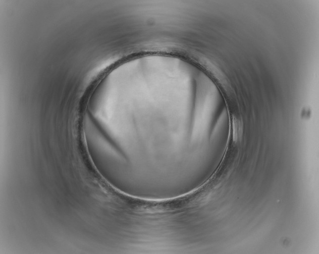 X0000090780675200708172128