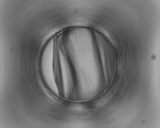 X0000090780677200708172128