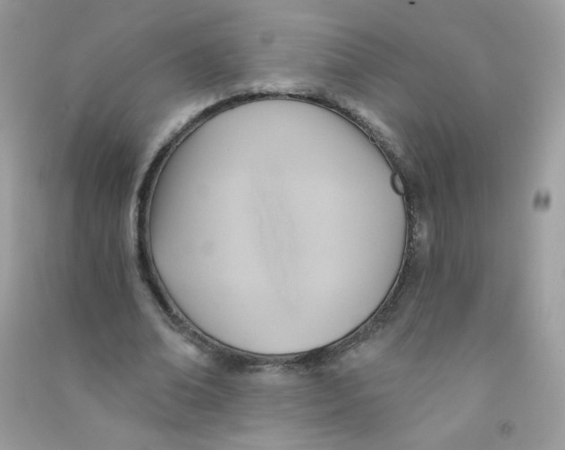 X0000090780678200708172128