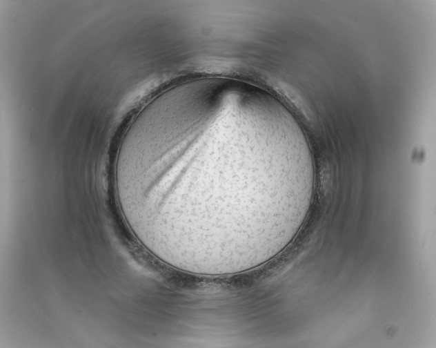 X0000090780682200708172128