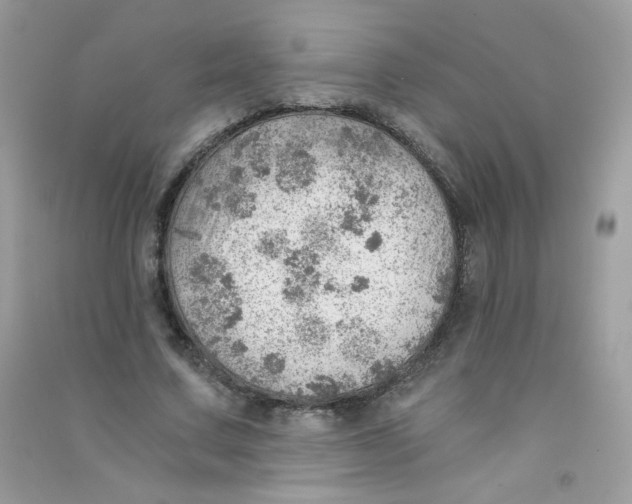 X0000090780683200708172128