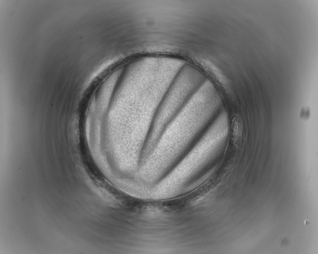 X0000090780684200708172128