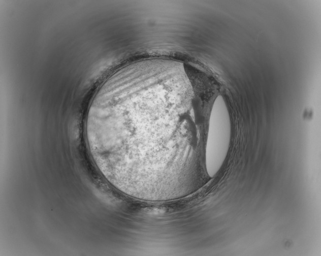 X0000090780687200708172128