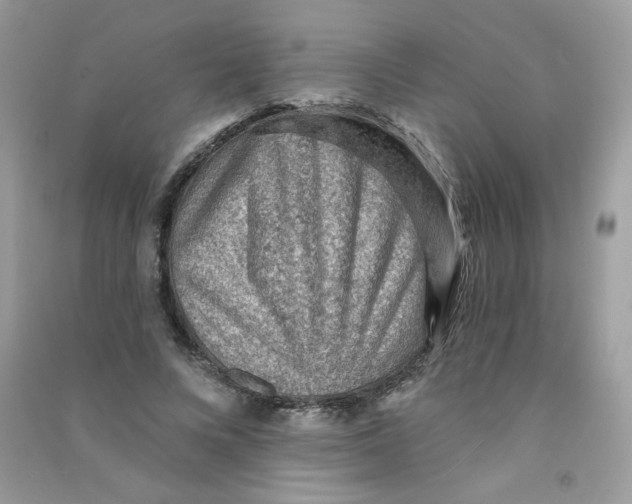 X0000090780688200708172128