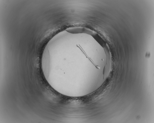 X0000090780689200708172128