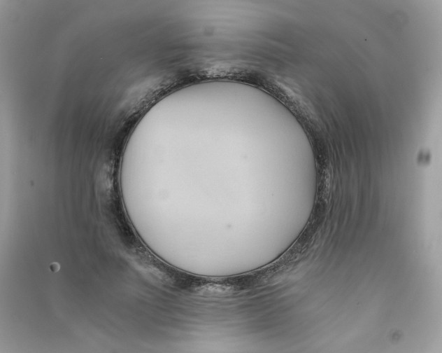X0000090780691200708172128