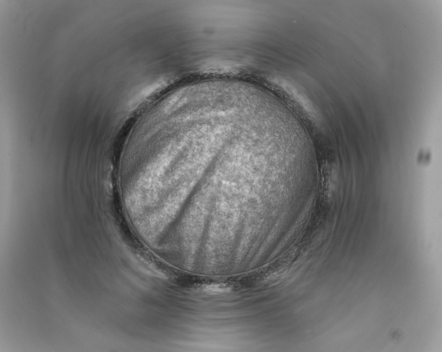 X0000090780692200708172128