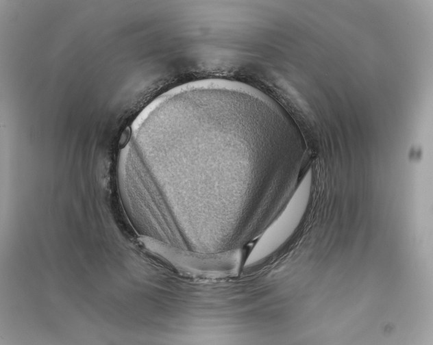 X0000090780693200708172128
