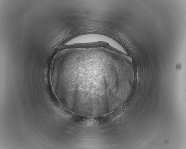 X0000090780696200708172128