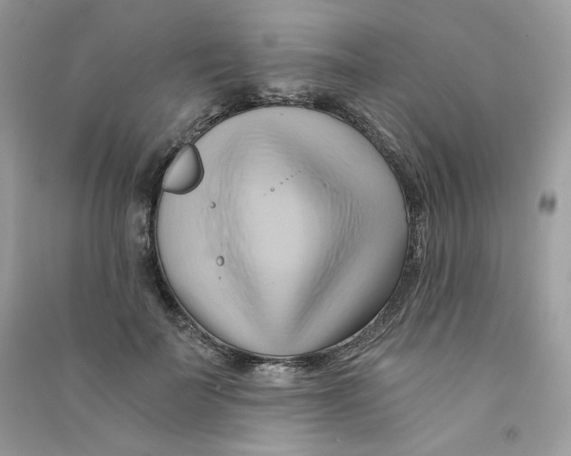 X0000090780699200708172128