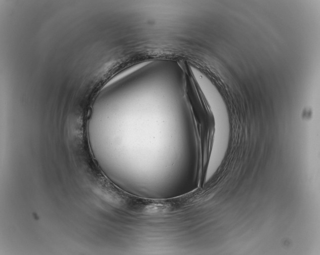 X0000090780700200708172128