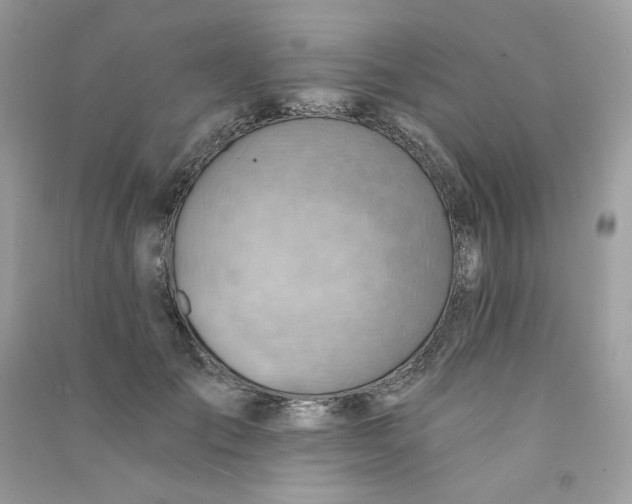 X0000090780701200708172128