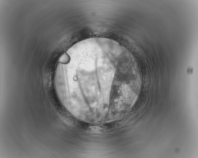 X0000090780703200708172128