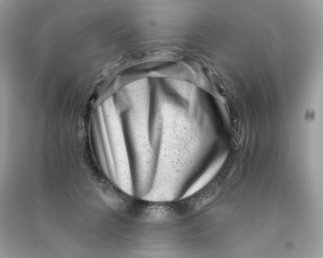 X0000090780704200708172128