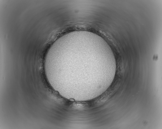 X0000090780706200708172128