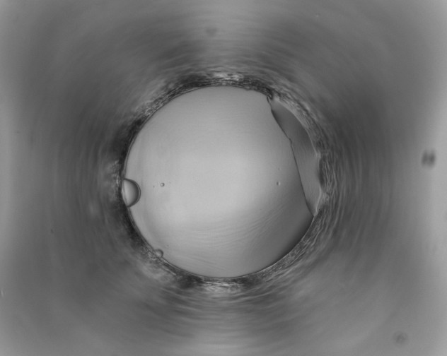 X0000090780707200708172128