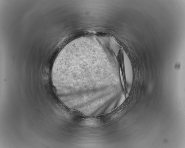 X0000090780708200708172128