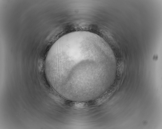 X0000090780709200708172128