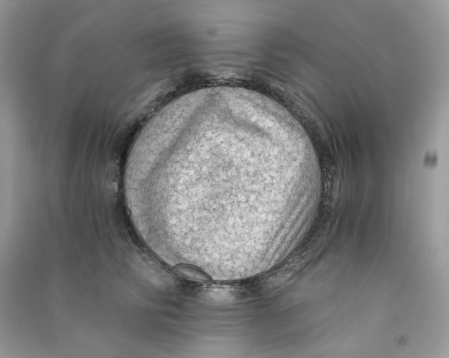 X0000090780710200708172128