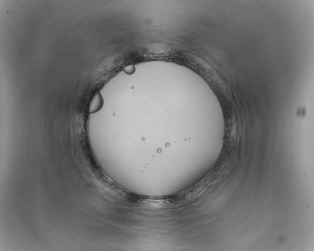 X0000090780711200708172128