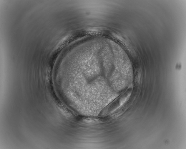X0000090780712200708172128
