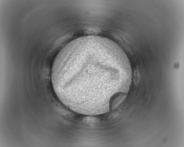 X0000090780714200708172128