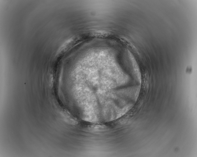 X0000090780716200708172128